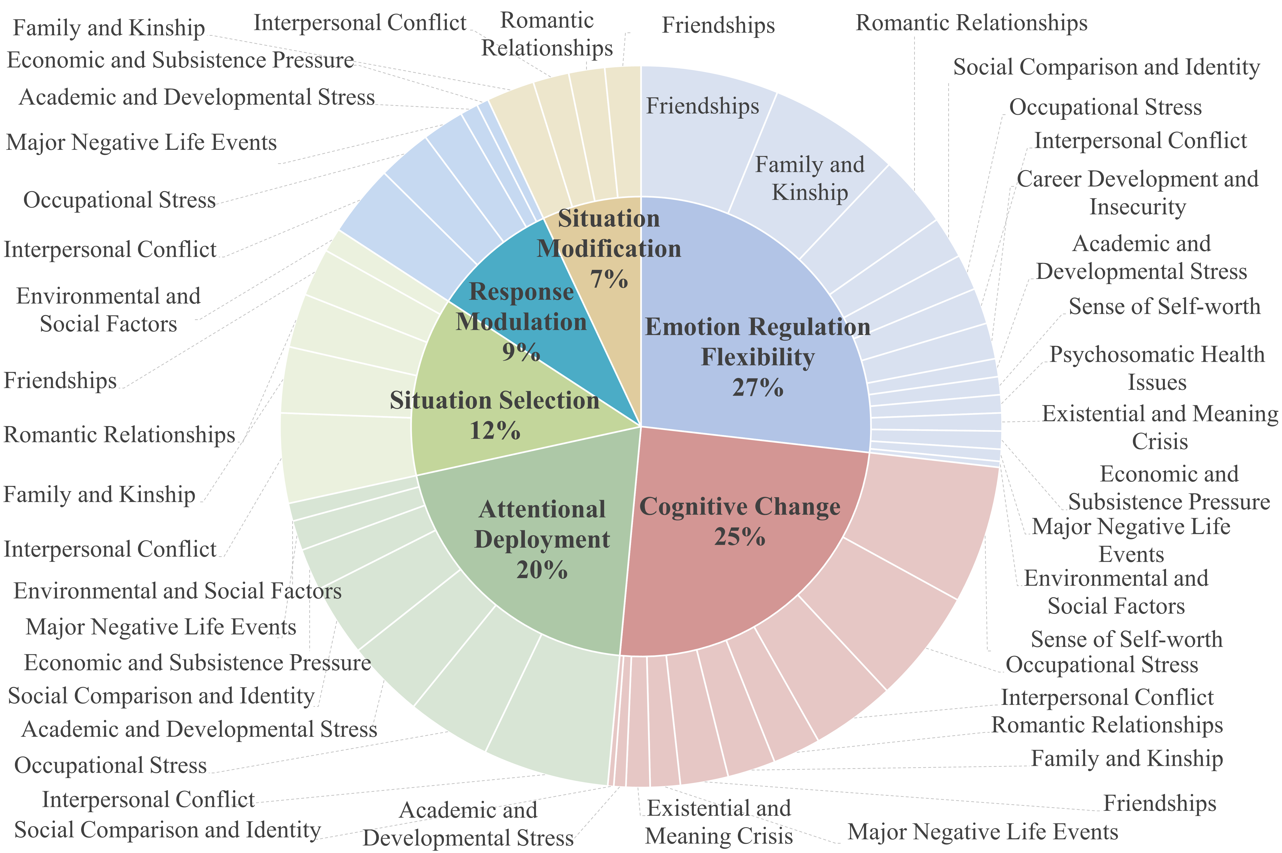 Emotion Regulation Strategy Distribution